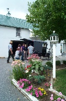 Visiting an Amish farm.