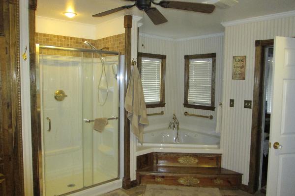 Shower and bath in private bedroom