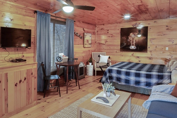 Little Cabin 1 - Living space