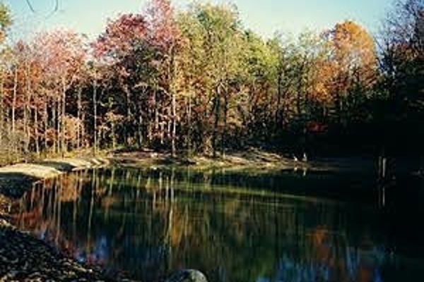 Our pond in the fall....