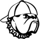 Dawgs Baseball Hitting Lessons