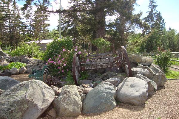 Part of the rock garden in the front of the house