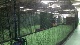 Hitzone Performance Center