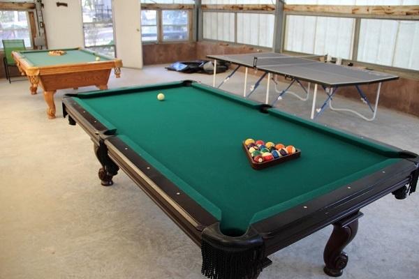Play Pool or Ping Pong Close to your Back Door