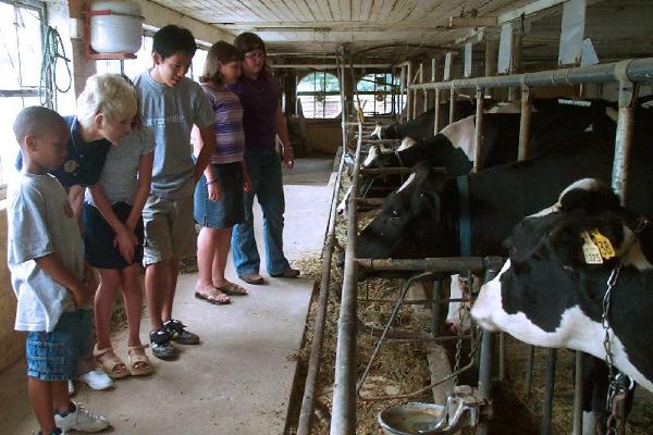 On the VIP tour, you'll get to visit an Amish farm at milking time.