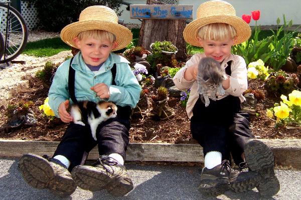 Visiting the Amish in person is the highlight of this special tour.