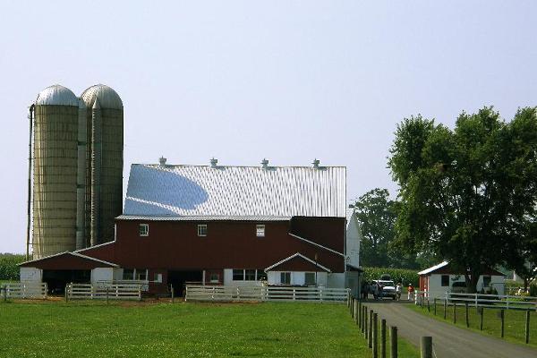 One of the farms you may visit on the Amish VIP (Visit-in-Person) tour.