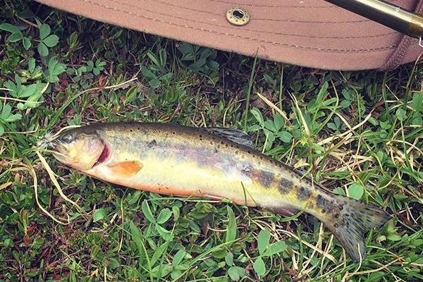 Big Sandy Lodge, LLC