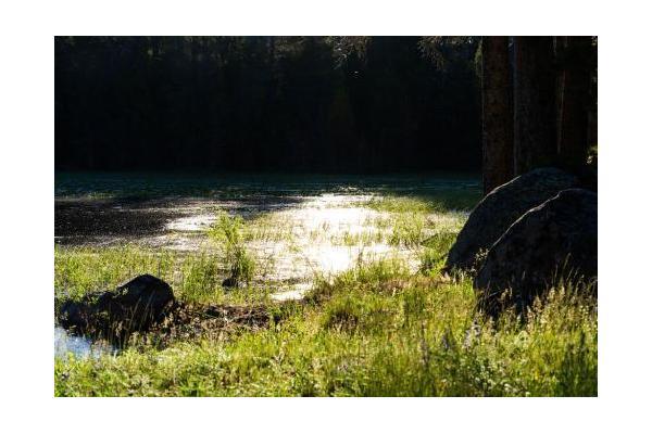 Big Sandy Lodge, LLC