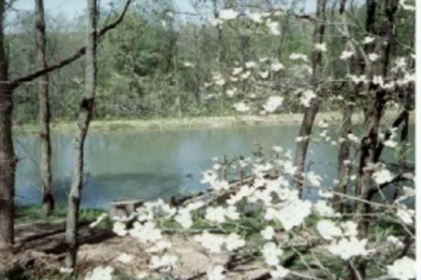 Bullfrog Mountain Cabin Rentals Butler Ohio