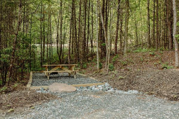 DuPont Yurts and Campground