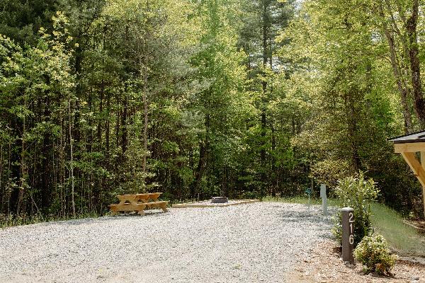 Site #216- 60'L back-in, 50/30 amp, FHU, table and fire ring w/ cooking grate.