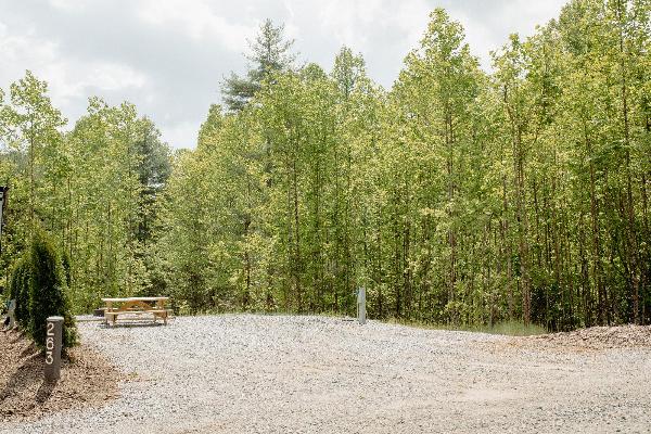 Site #263 50' FHU back-in site w/ picnic table, fire ring and swivel grate to cook on. 