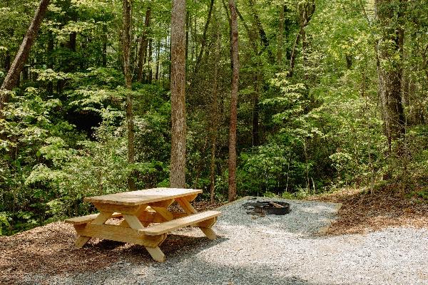 DuPont Yurts and Campground