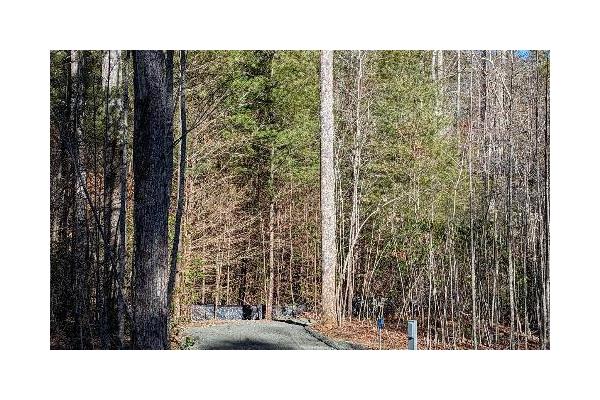 DuPont Yurts and Campground