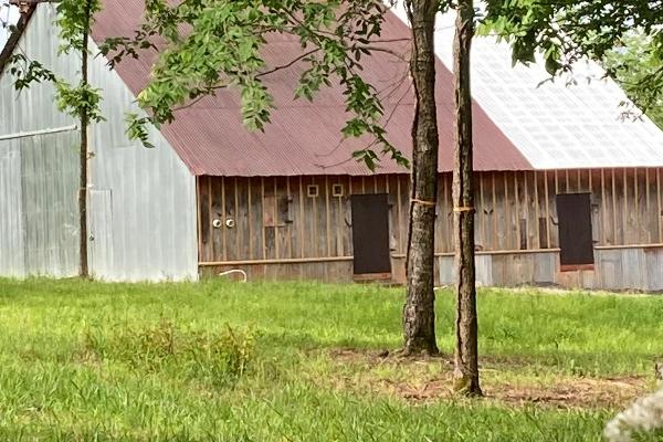 Historically restored barn and lawn where Saturday night's music will be held (included)