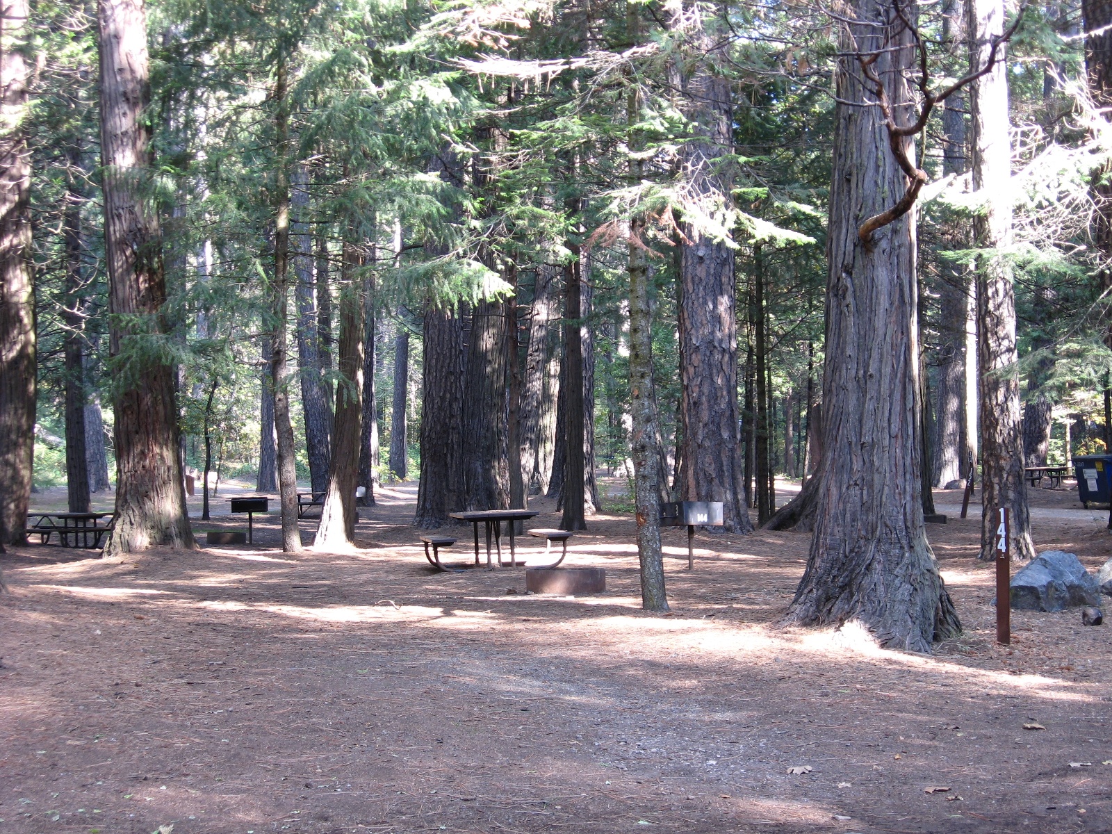 Sly park campground phone number