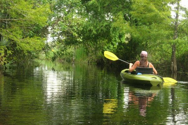 Everglades Adventure Tours