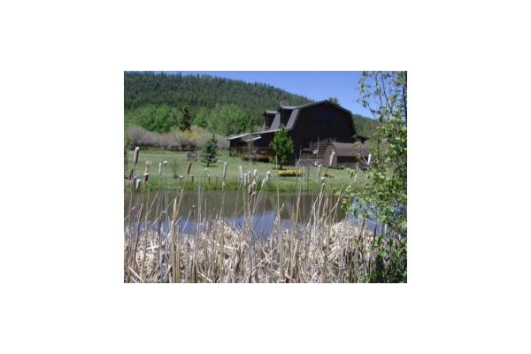 Lazy Bear Cabin with small pond. Sleeps 8