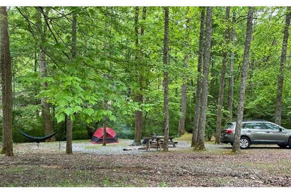 Primitive Tent Site T1 - Creekside