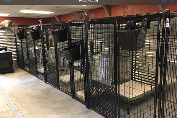 Roeslers Kennels