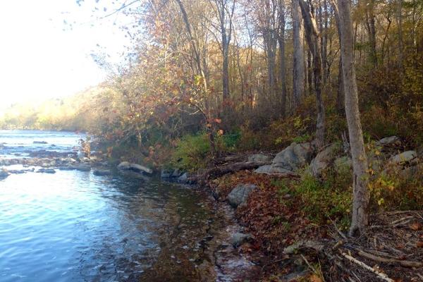 Shore Line Picture