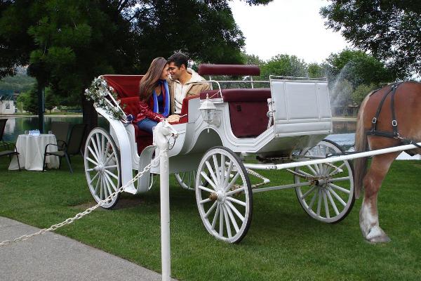 Romantic Carriage Ride Add-On